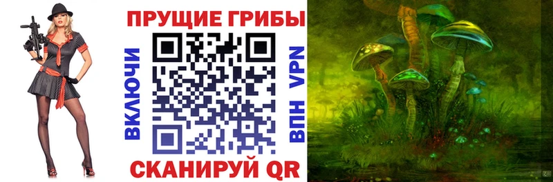 наркошоп  сайты даркнета состав  Псилоцибиновые грибы Magic Shrooms  Буй 