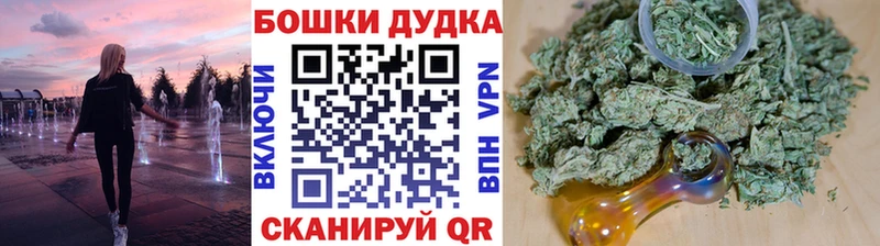 Канабис планчик Буй